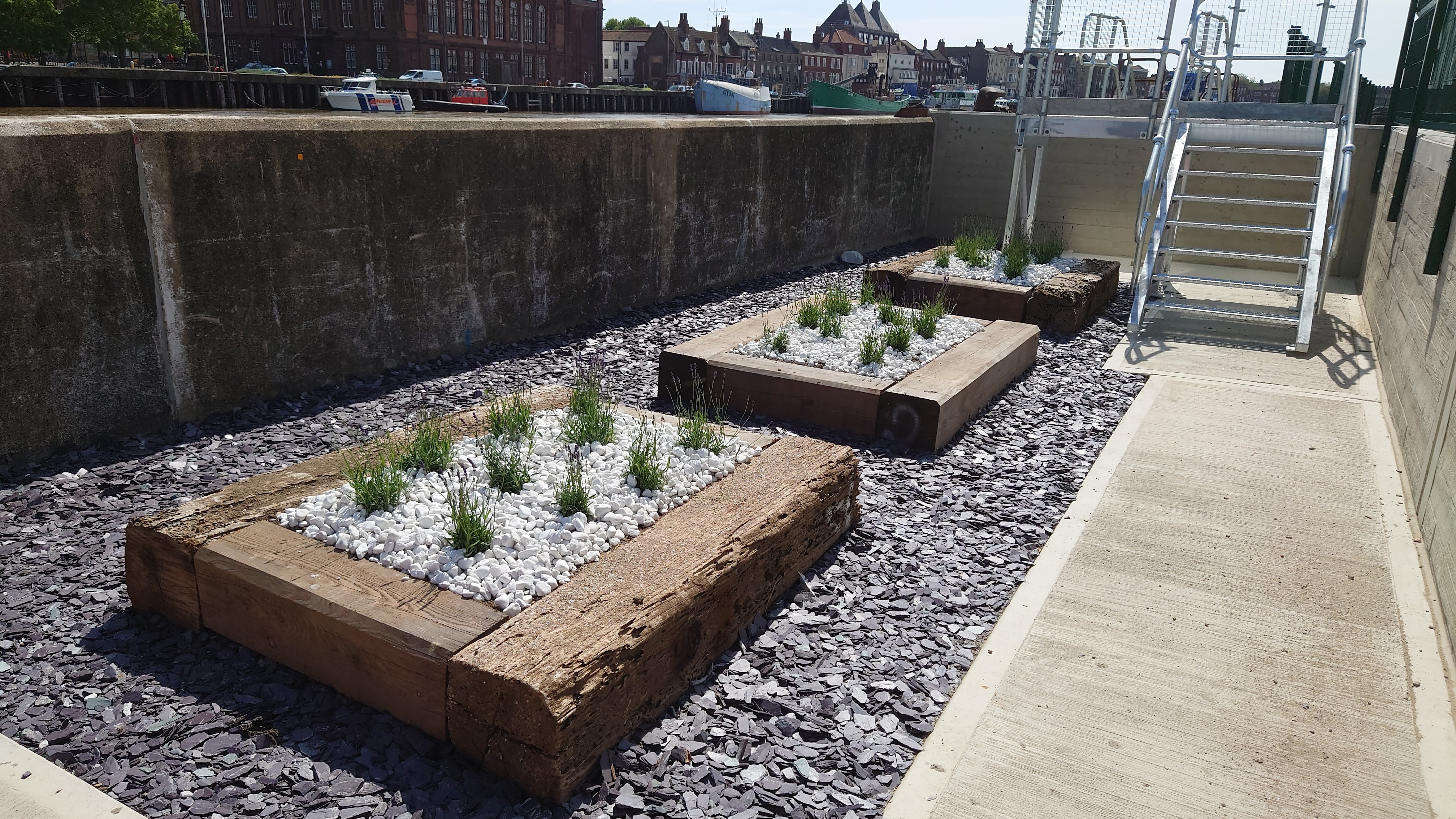 Ice House, Great Yarmouth - New flower beds were created with reclaimed timber sleepers which were extracted from another works package.